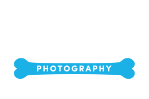 Bark Art Logo Pet photography Birmingham Alabama