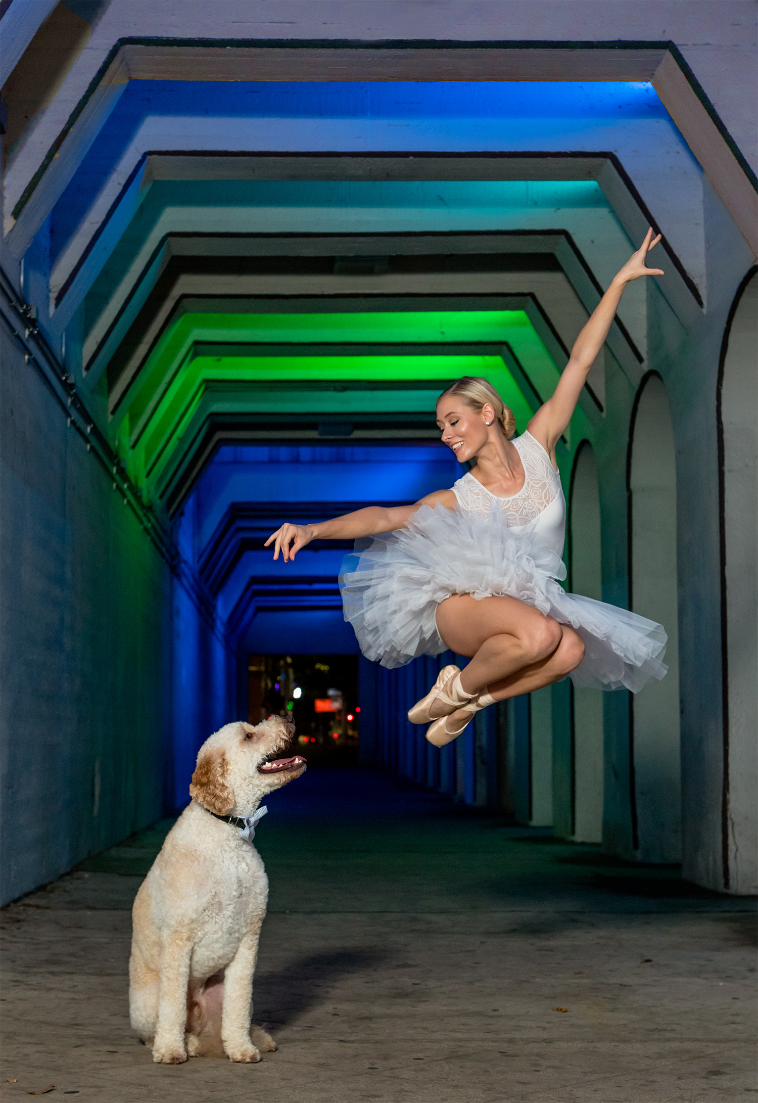Birmingham Alabama Color Light tunnel dancer dog pet photography session 